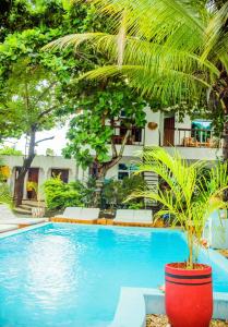 Kilimanjaro